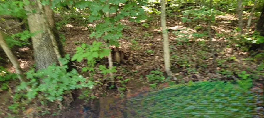 1 Terrapin Run Rd, Dover, TN 37058 - Image #2