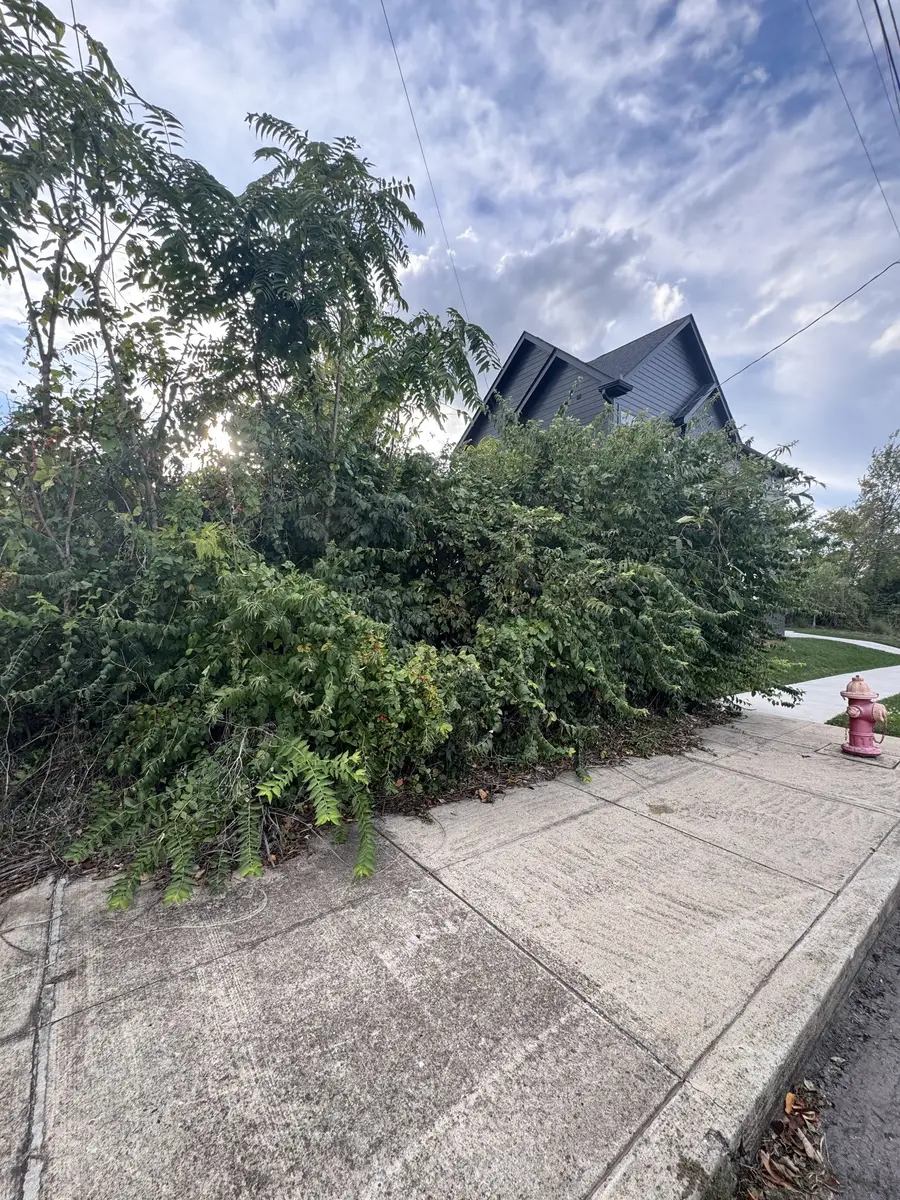 1217 11th Ave N, Nashville, TN 37208 - Image #2