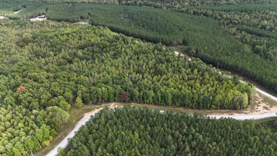 1477 Hawthorn Dr, Linden, TN 37096 - Image #3