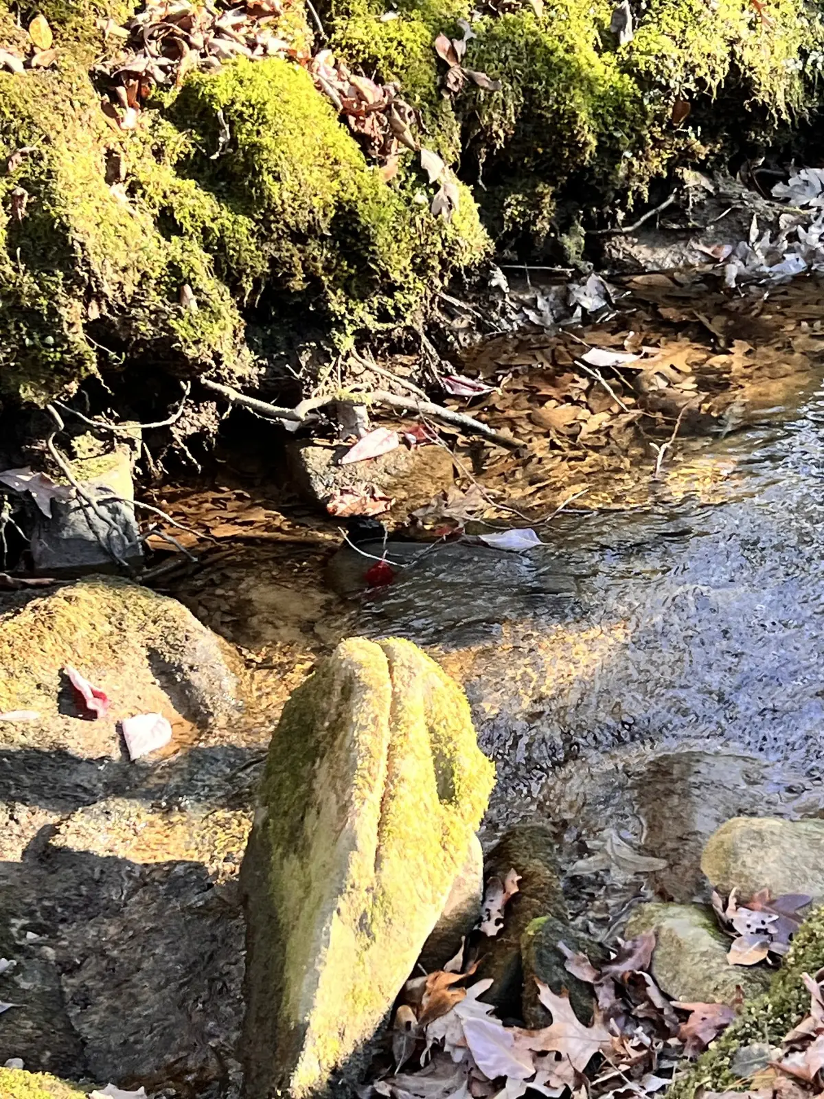 72 Lady Slipper Lane, Monteagle, TN 37356 - Image #1