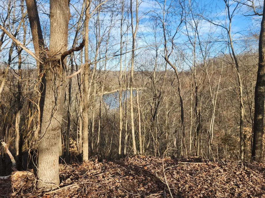 1 Antler Drive, Smithville, TN 37166 - Image #2