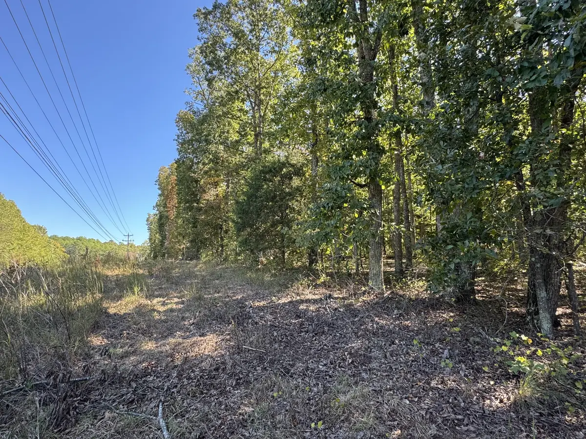 0 Hwy 100, Centerville, TN 37033 - Image #1