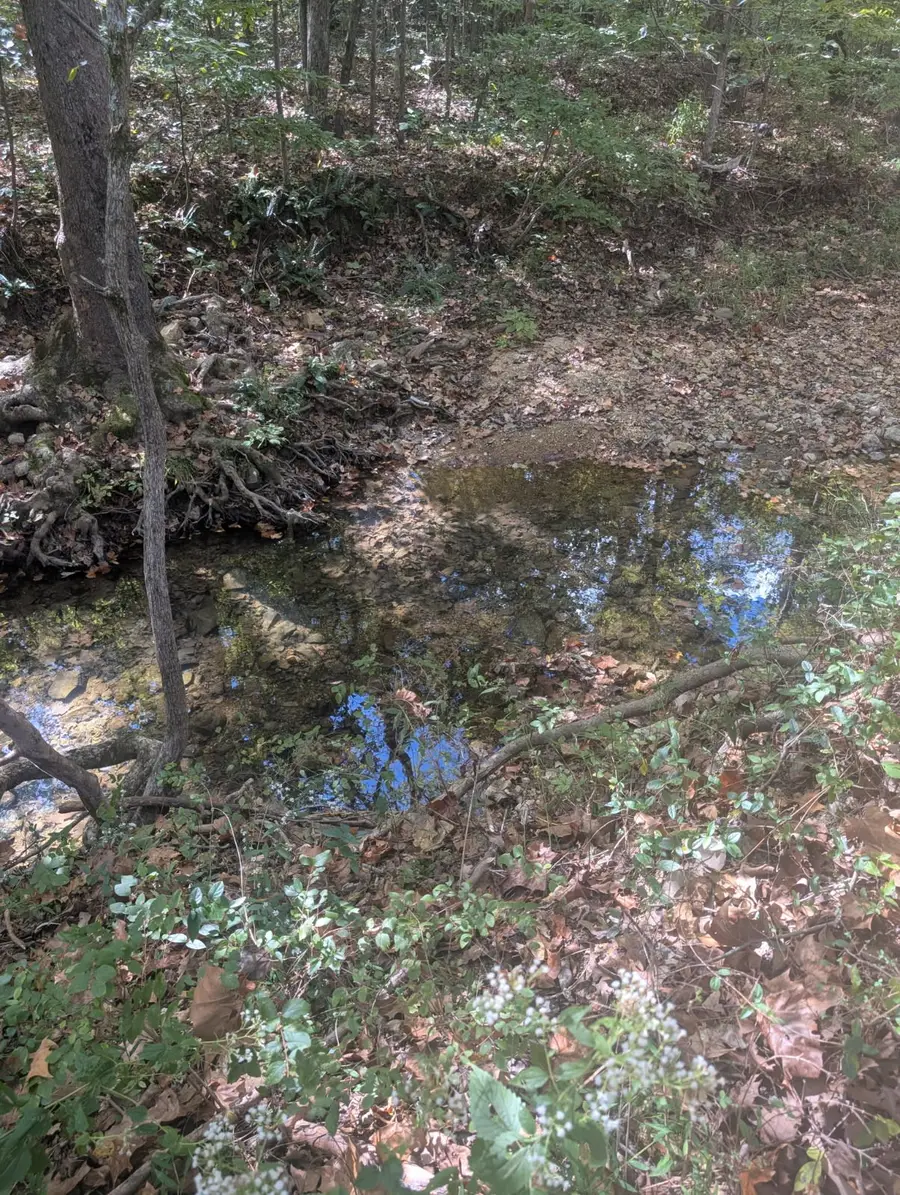 2775 N Hurricane Creek Road, Mc Ewen, TN 37101 - Image #3