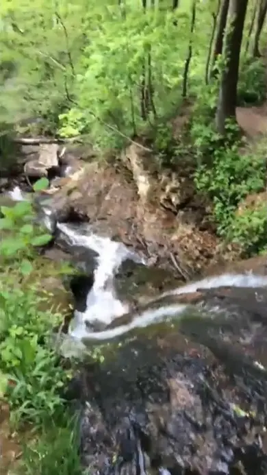 103 Harrison Ferry Road, McMinnville, TN 37110 - Image #2