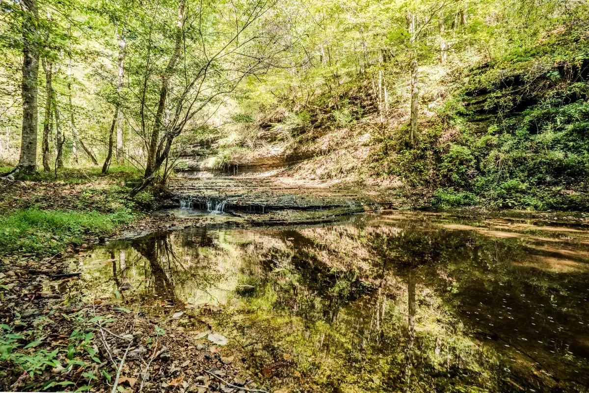 0 S Randall Rd, Westpoint, TN 38486 - Image #1