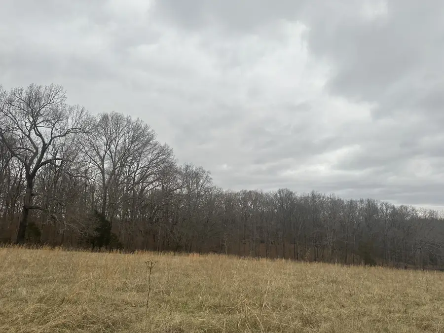 1 Myatt Loop, Burns, TN 37029 - Image #3