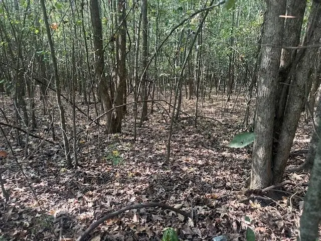 0 Tow Boat Ln, Adamsville, TN 38310 - Image #2