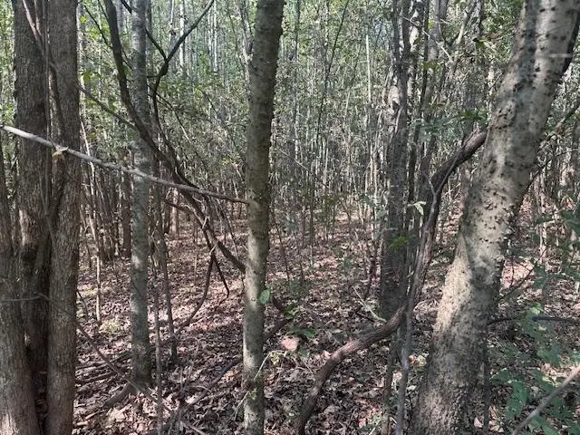 0 Tow Boat Ln, Adamsville, TN 38310 - Image #3