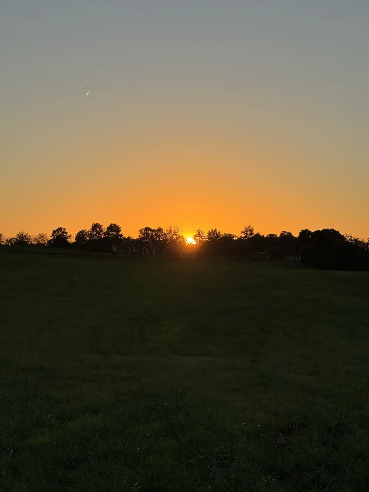 0 Woody Atkinson Road, Woodburn, KY 42170 - Image #1