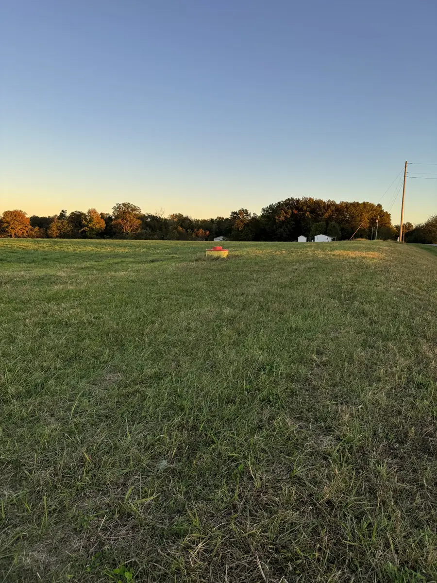 0 Woody Atkinson Road, Woodburn, KY 42170 - Image #3