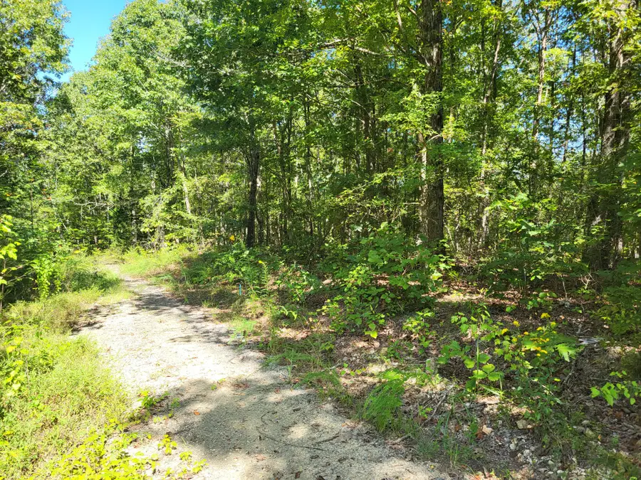 7 Strawberry Gables, Holladay, TN 38341 - #2