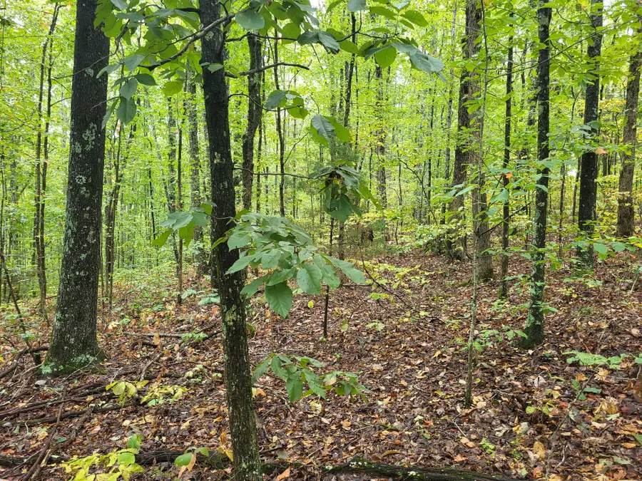 8 Strawberry Gables, Holladay, TN 38341 - #2