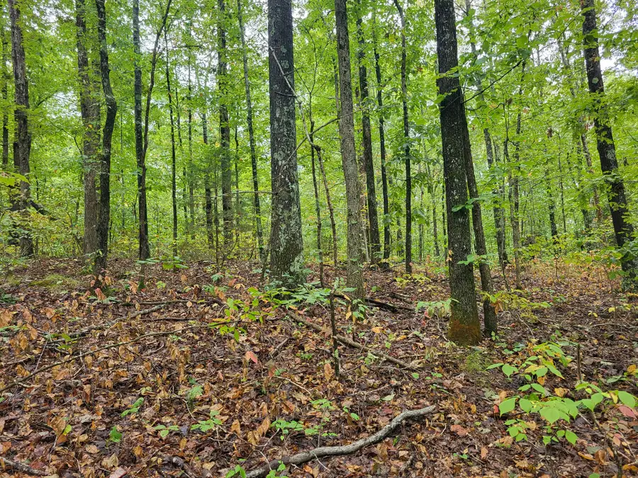 8 Strawberry Gables, Holladay, TN 38341 - #3