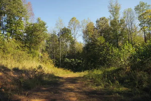 5845 Turkey Creek Rd, Waverly, TN 37185