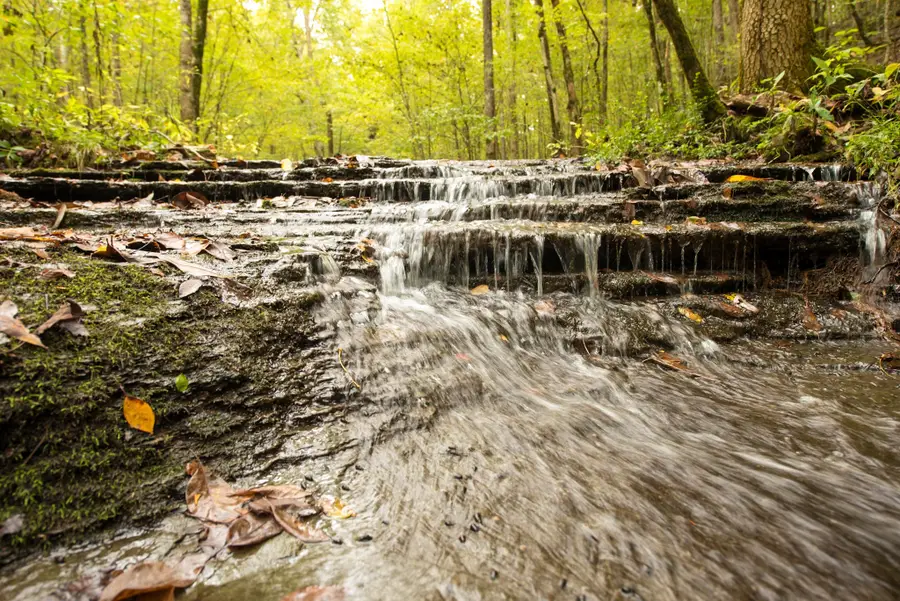 9062 Dry Creek Rd, Mount Pleasant, TN 38474 - #2