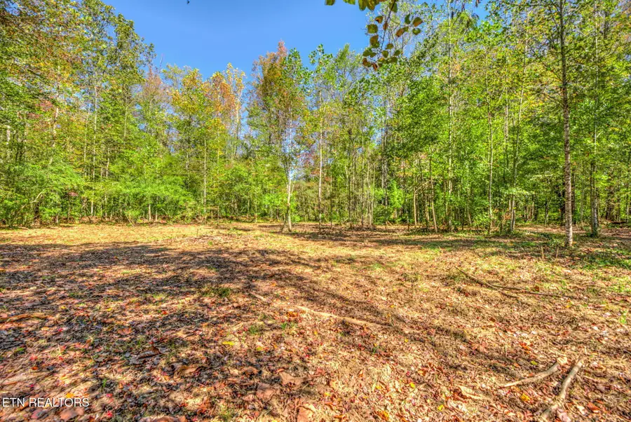 1446 Cove Lane, Oliver Springs, TN 37840 - Image #3