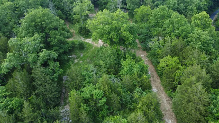 738 Rogues Fork Rd, Bethpage, TN 37022 - Image #3