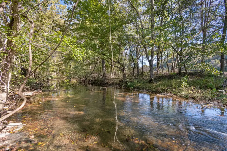 260 W Fork Rd, Mount Pleasant, TN 38474 - Image #3