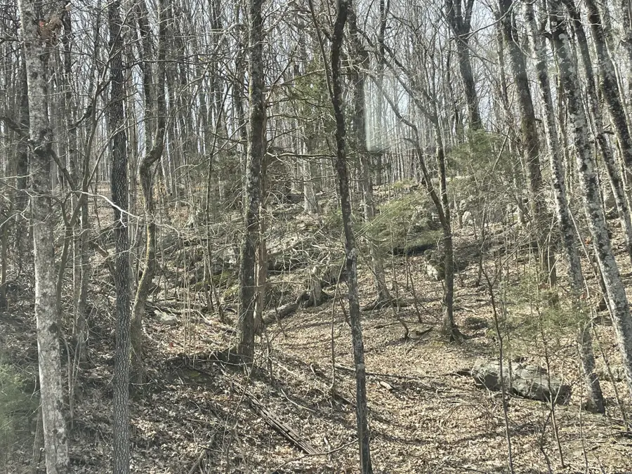 0 Roarks Cove Rd, Sewanee, TN 37375 - Image #2