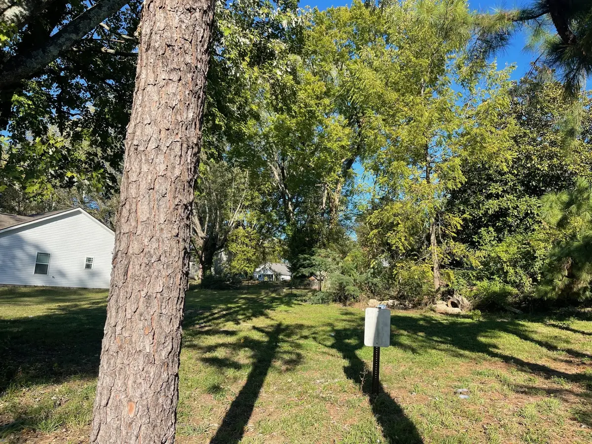 0 Bessie St, Springfield, TN 37172 - Image #1