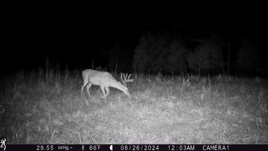 1722 Park Road, Holladay, TN 38341 - Image #3