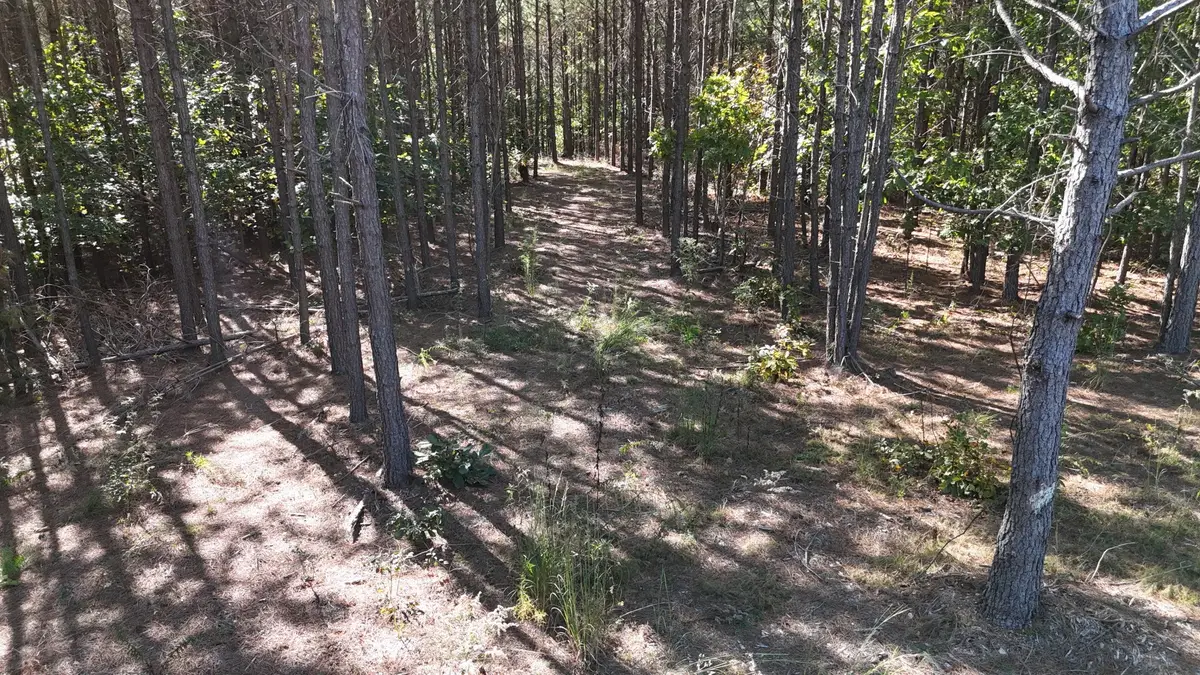 111 Hillbrook Dr, Hohenwald, TN 38462 - Image #1