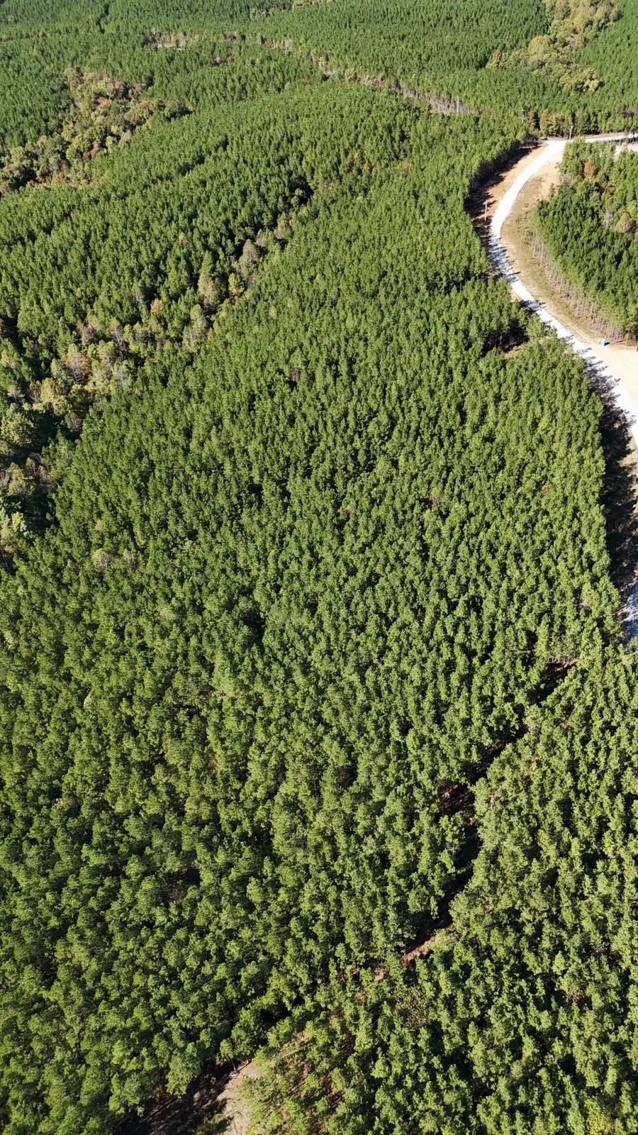 111 Hillbrook Dr, Hohenwald, TN 38462 - Image #2