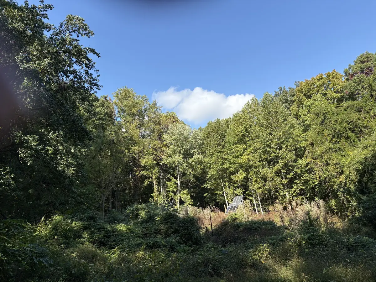 1431 Roarks Cove Rd, Sewanee, TN 37375 - #1