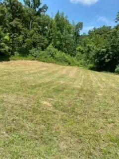 0 Love Branch Road, Hampshire, TN 38461 - Image #1