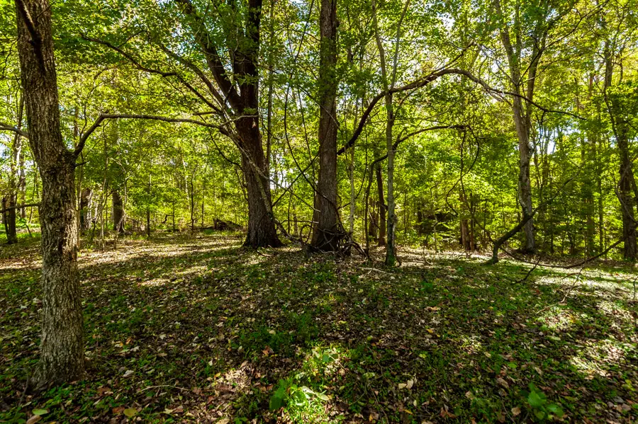 0 Harper Road, Portland, TN 37148 - Image #3