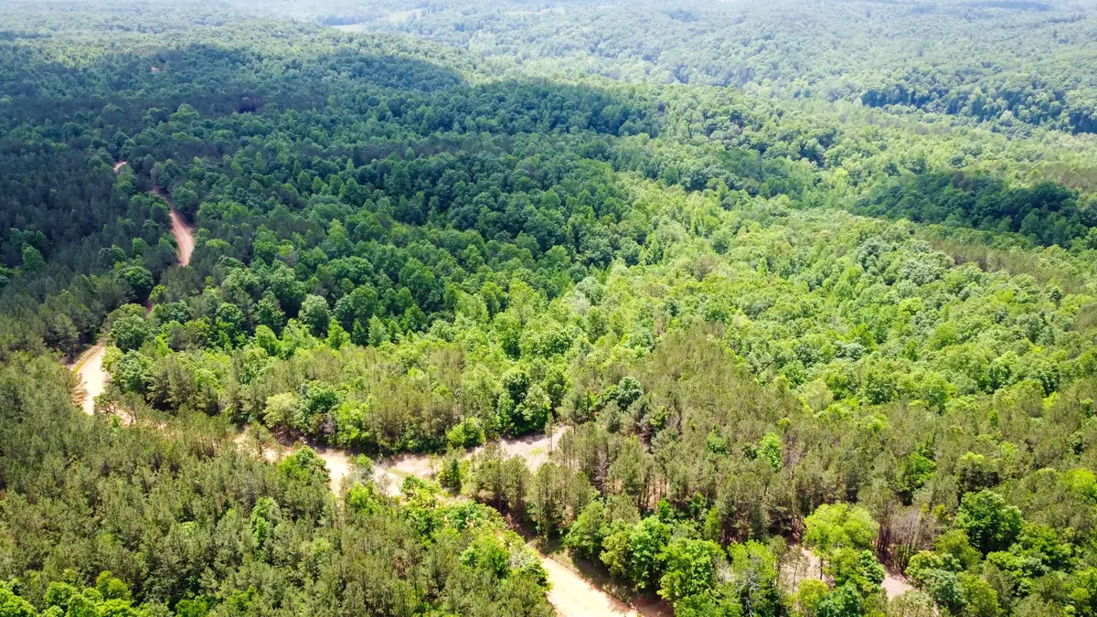 0 Old Mail Road, Duck River, TN 38454 - #1
