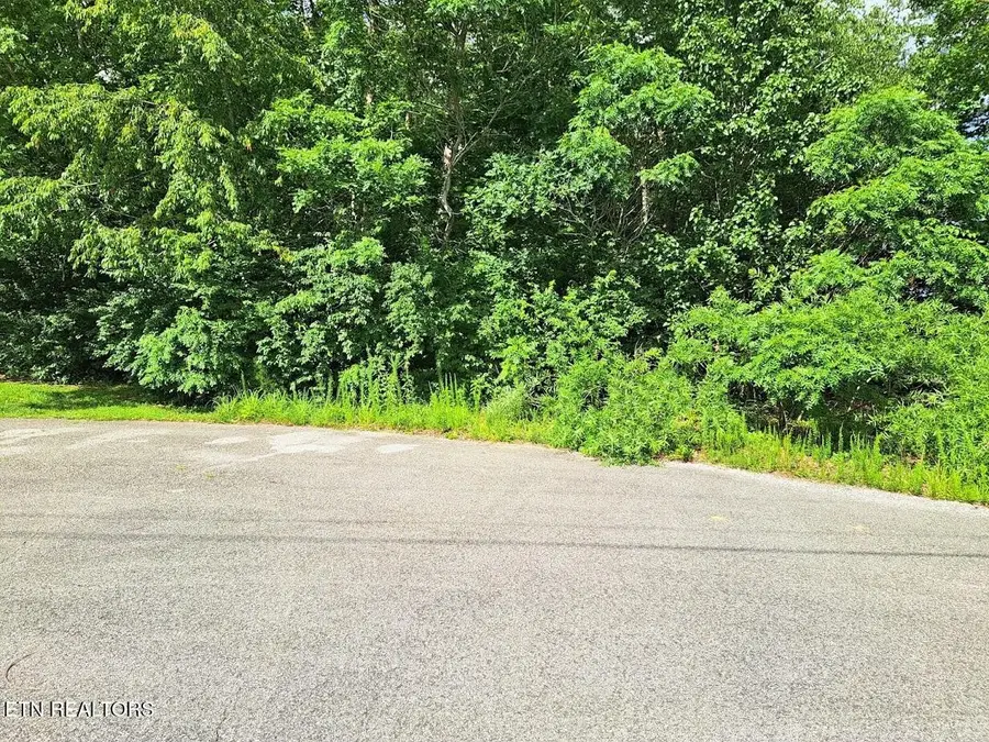 0 Bear Den - Lot 21, Crossville, TN 38571 - Image #2