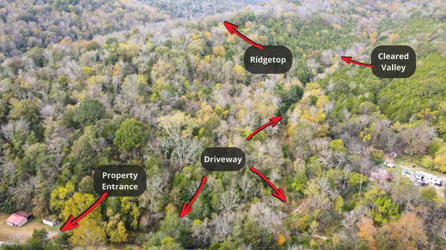 441 Pumpkin Hollow Rd, Liberty, TN 37095 - Image #3