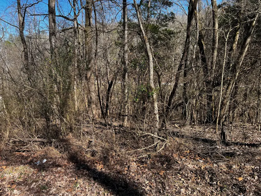 0 Lakeshore Dr, Dover, TN 37058 - Image #3