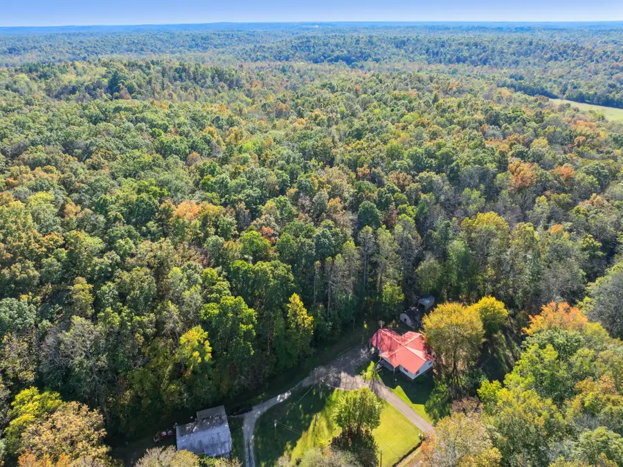 616 Old Sh 69, Sugar Tree, TN 38380 - Image #3