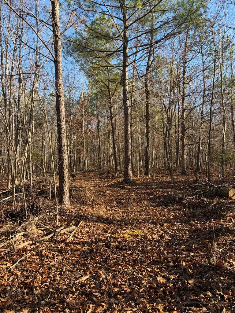 0 Hatley Rd, Lyles, TN 37098 - Image #3