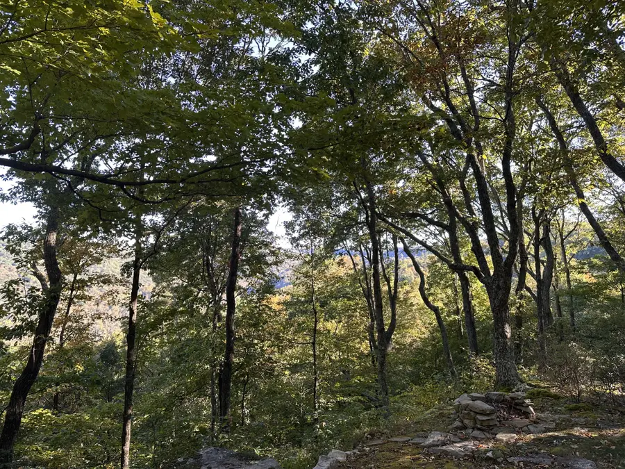 0 Azalea Ln, McMinnville, TN 37110 - Image #2