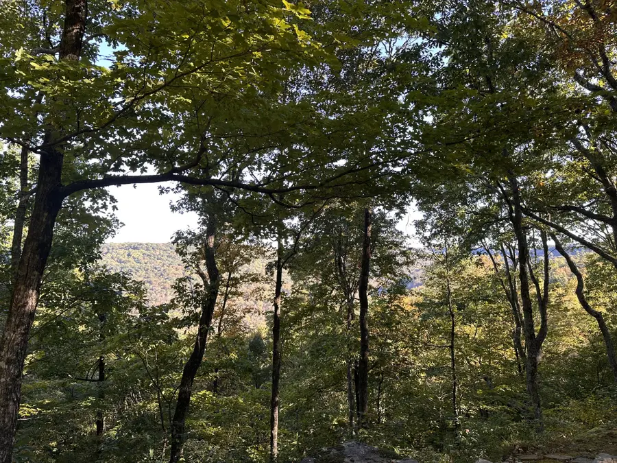 0 Azalea Ln, McMinnville, TN 37110 - Image #3