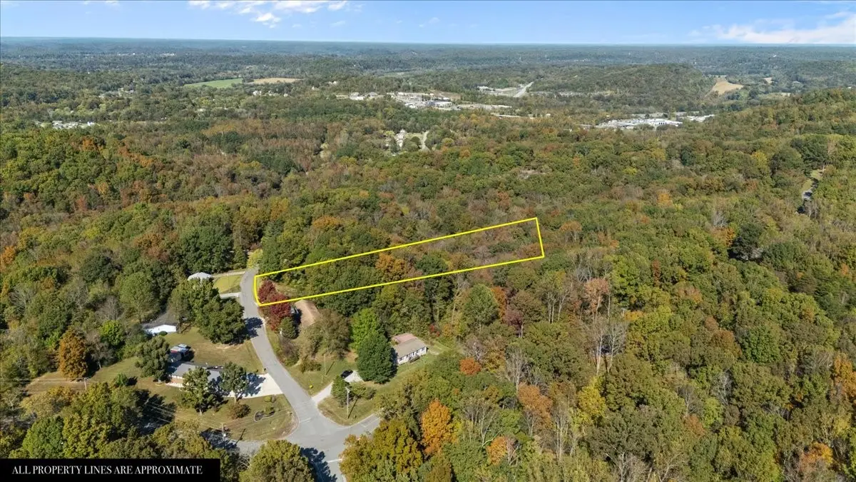 1006 Crestview Ct, Kingston Springs, TN 37082 - Image #1