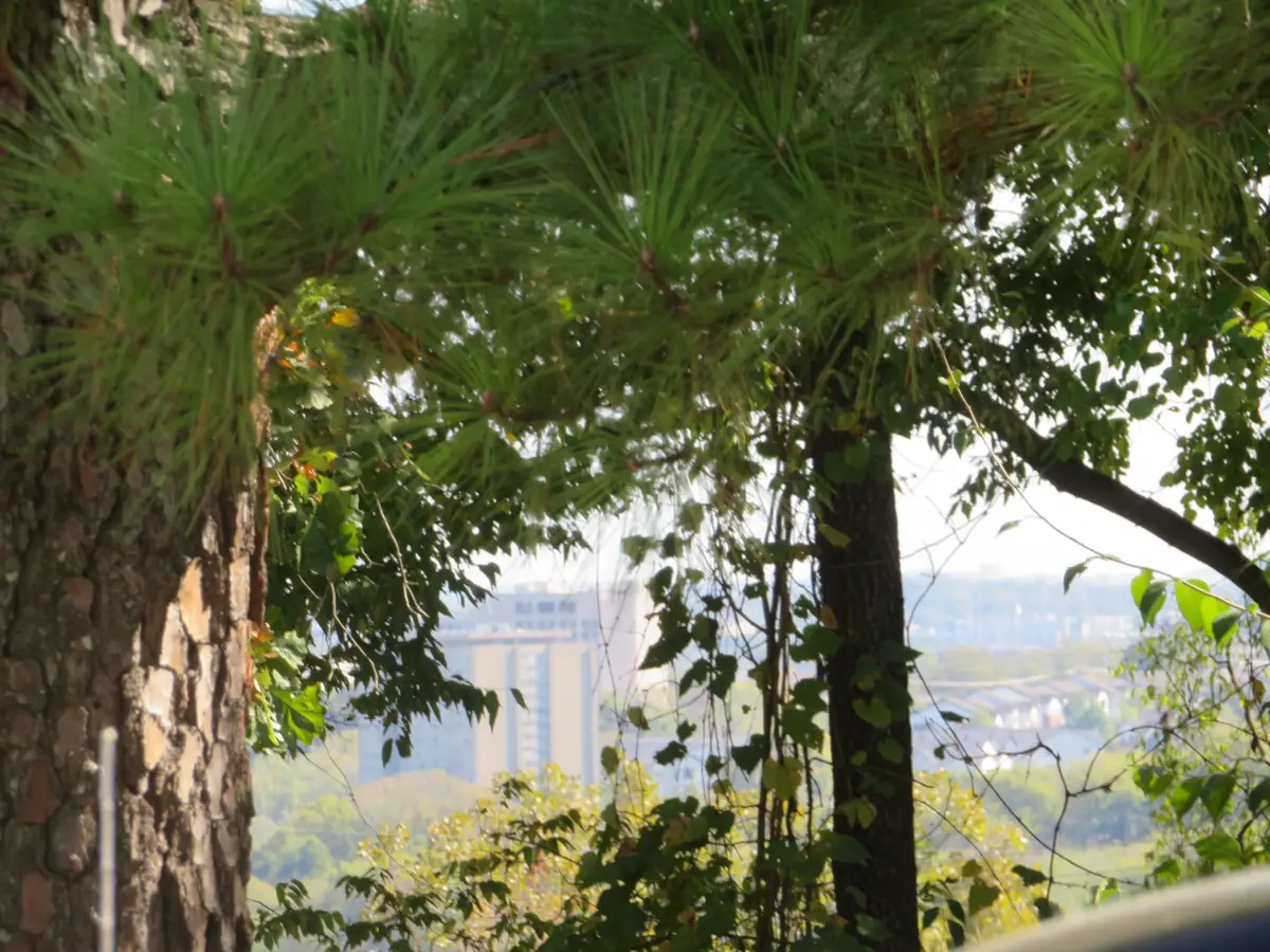 2306 Alpine Ave, Nashville, TN 37218 - Image #1