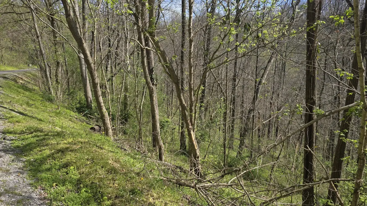 2 Shoreside Dr, Smithville, TN 37166 - #1