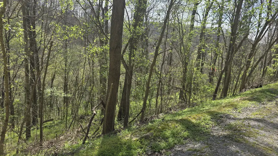 2 Shoreside Dr, Smithville, TN 37166 - #2