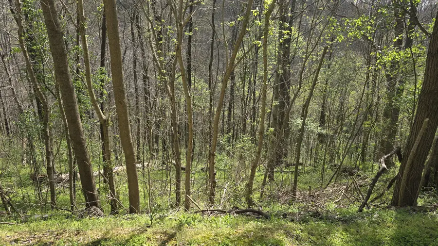 2 Shoreside Dr, Smithville, TN 37166 - #3