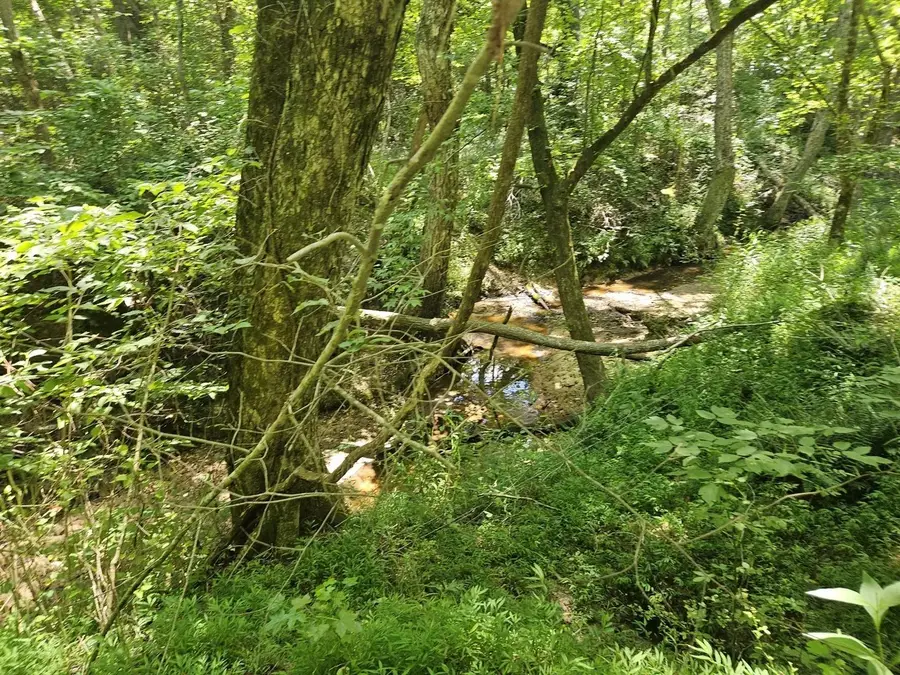 160 Bishop Rd, Middleton, TN 38052 - #3