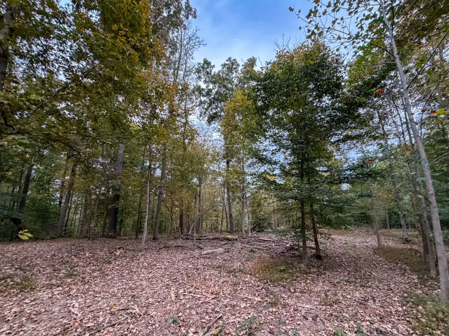 2 Highway 149, Cumberland City, TN 37050 - Image #2