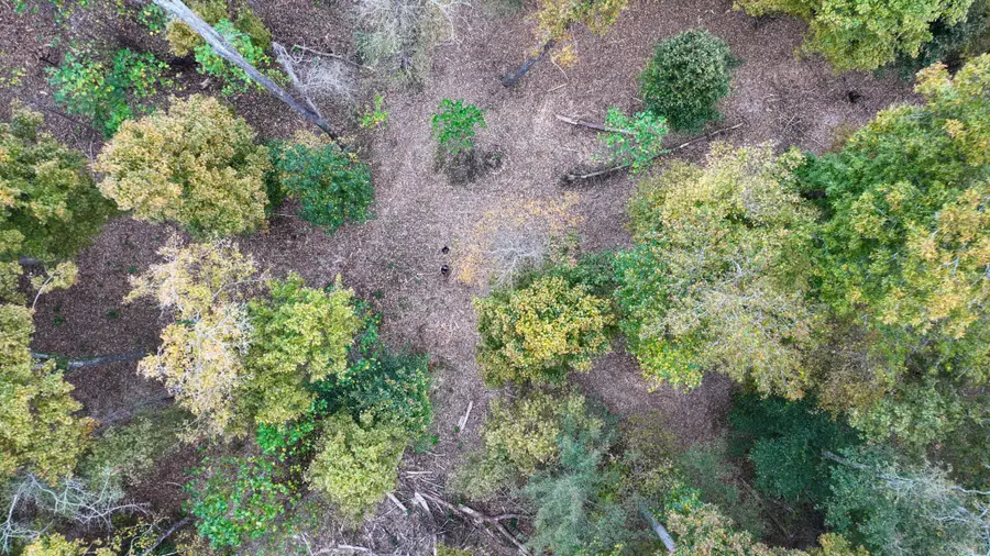 2 Highway 149, Cumberland City, TN 37050 - Image #3