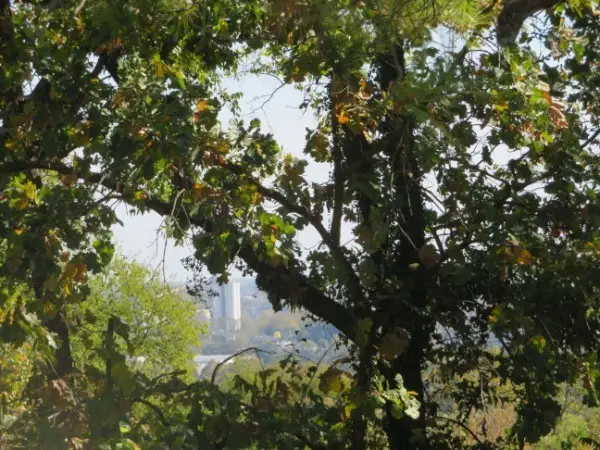 2306 Alpine Ave, Nashville, TN 37218 - Image #3