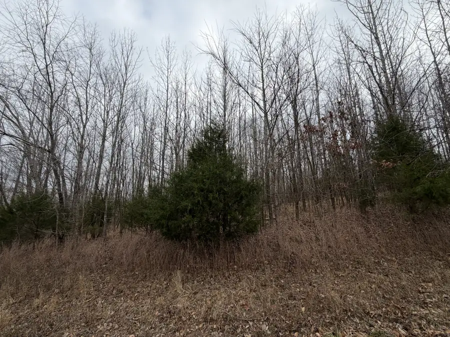 0 Crystal Creek Cir, Cadiz, KY 42211 - Image #3