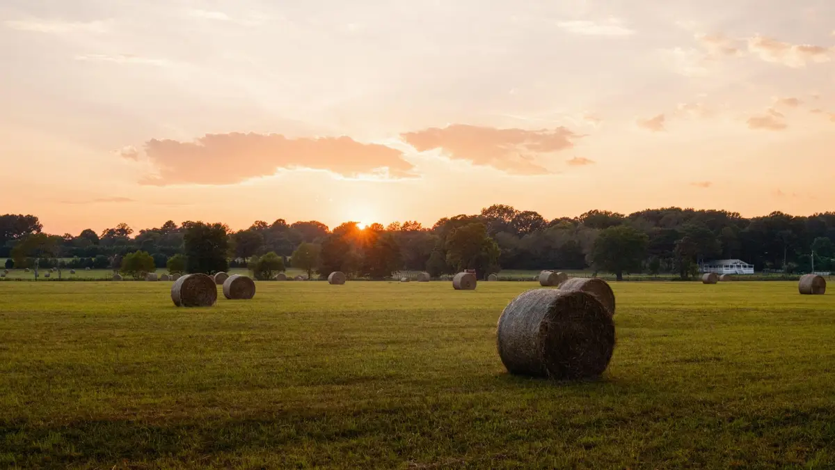 0 Gilliam Road, Gurley, AL 35748 - Image #1