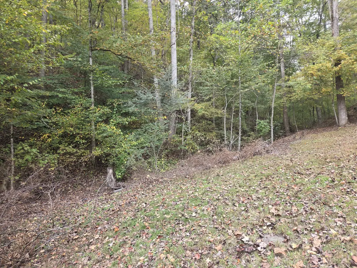 9436 Highway 100, Nashville, TN 37221 - #1